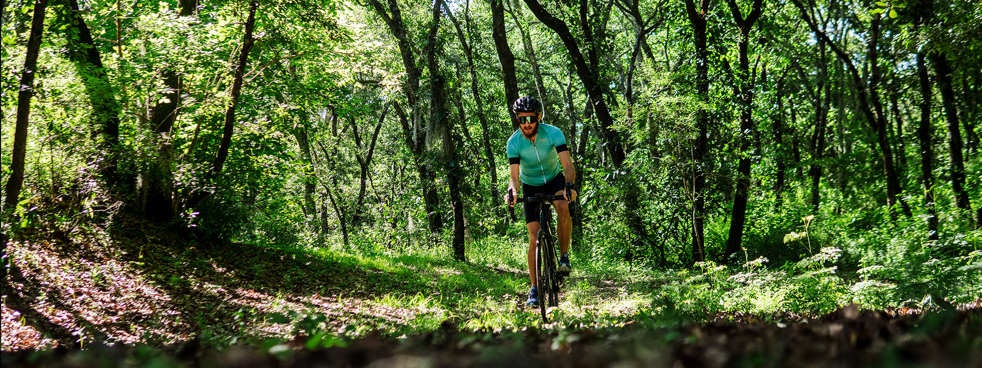 Ciclismo en el bosque